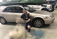 Vehicle, kayak and fishing gear seized