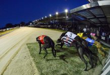 Locals miss cup final