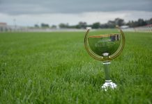 Quality field for Sale Cup