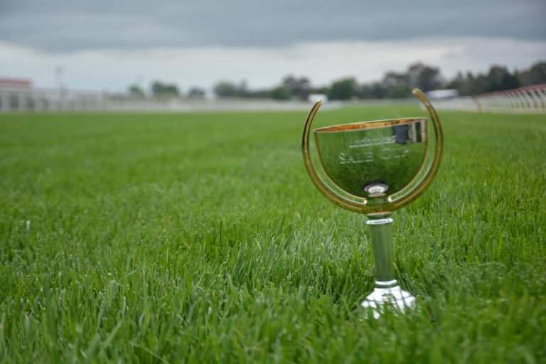 Quality field for Sale Cup