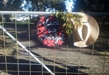 Hopes Anzac Day will look ‘as close to normal as possible’