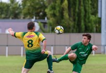 Argonauts succeed in quest