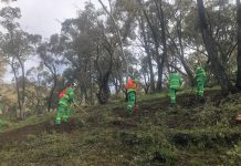 Firefighters learn the local ropes