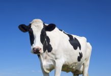 Dairy industry collaborates to halve food waste