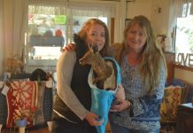 Killing wildlife part of a ‘larger cultural issue’