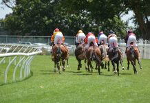 Finnick finishes second in Stony Creek Cup