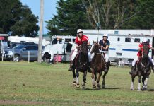 Sale wins A grade at polocrosse