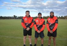 Eagles on top of the tree