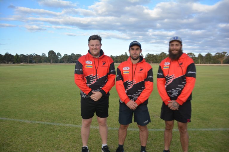 Eagles on top of the tree