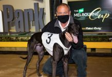 Bound for Melbourne Cup heats