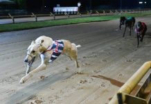 It’s Catch the Thief by four lengths