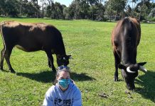 Cow project an udder delight