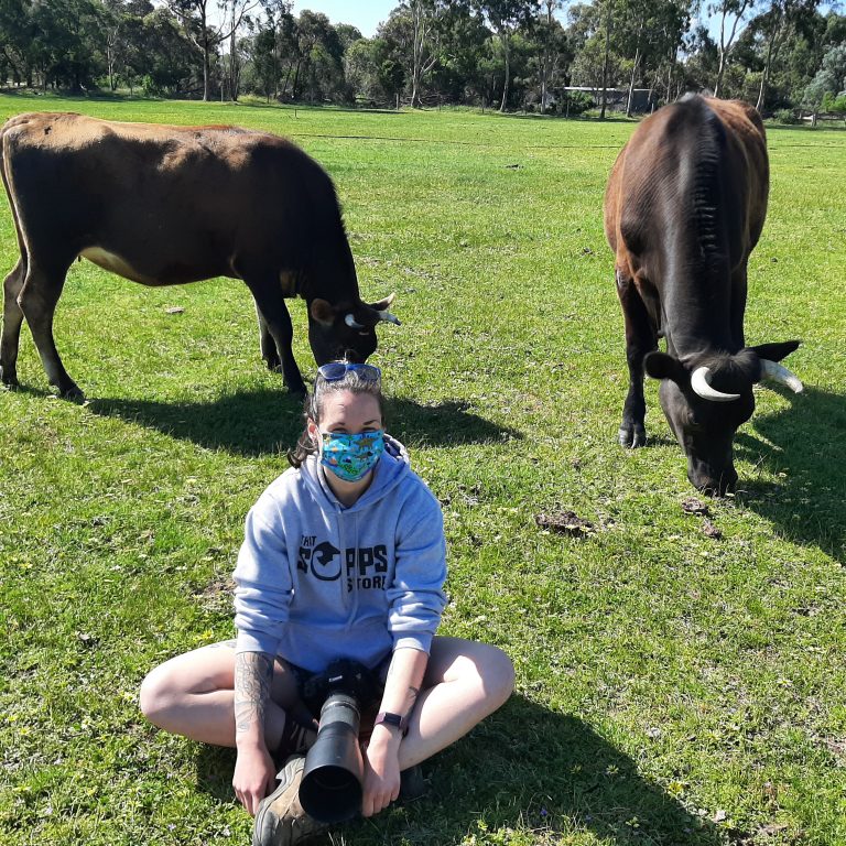 Cow project an udder delight