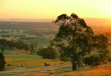 Friends of the Earth slam court decision