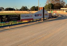 Positive end to 2020 for local trainers