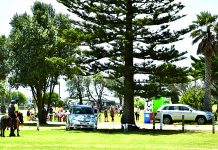 Visitors flock to the area