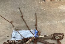 Cruel traps snare family pet and native fauna