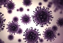 Victoria dips under 1000 active cases