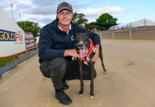 Houdini act to Sale Cup favouritism