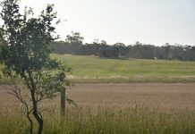 Getting Back on Track with mental health