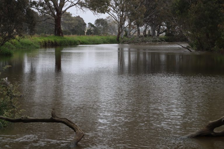 Immediate decision needed over Latrobe River diversion for Morwell mine void