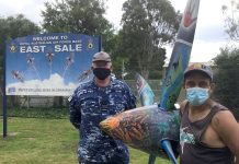 RAAF artwork depicts the spirit of sacrifice