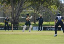 Feathers to fly at Sale Oval