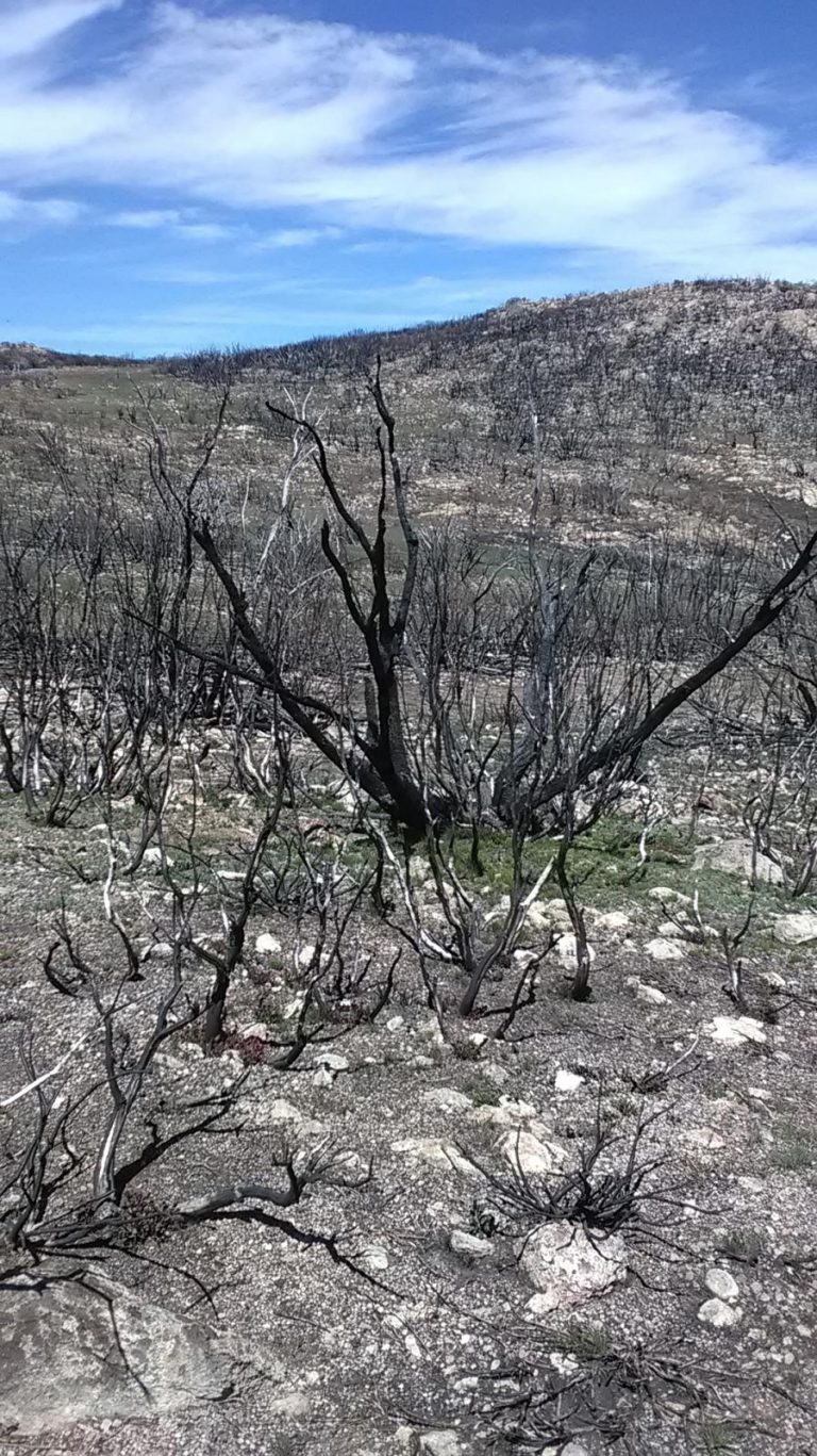 Parks and Crown Land Amendment Bill