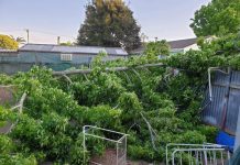 SES kept busy during storm