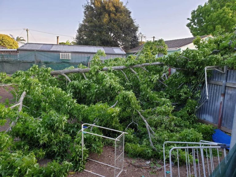 SES kept busy during storm