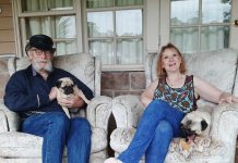 Clocking up 40 years as an ambo