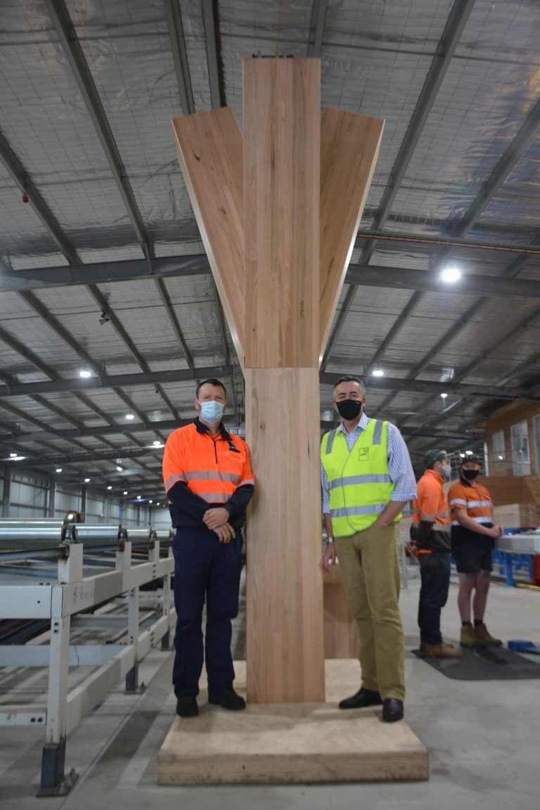 ASH ‘trees’ in multi-million creative precinct project