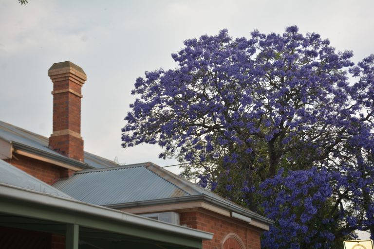 Maffra’s property prices on the rise