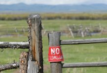 Farm trespass legislation is delayed