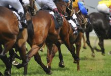 Sale horses win at Bairnsdale