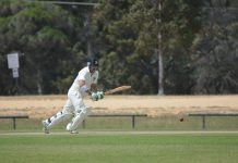 Hunters now the hunted