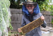 Creating a buzz in Bundy