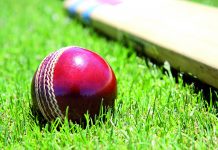 Junior cricket grand finals Monday
