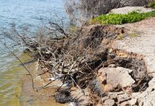 MLA says Loch Sport erosion must be addressed