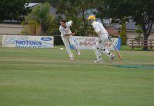 Returning to Premier Cricket