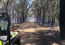 Fire in hot, windy conditions