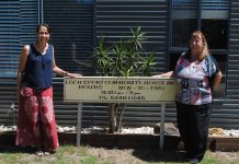 New community house home and hosed