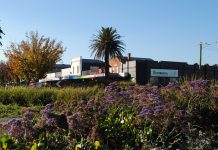 Local business and tourism associations receive $20k