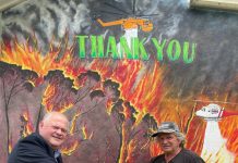 New murals in Rosedale are drawing attention