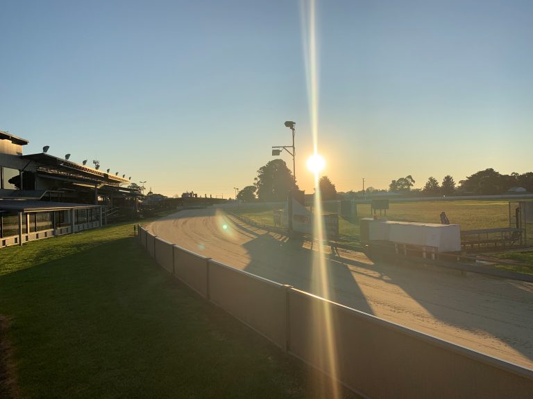 Majestic form continues