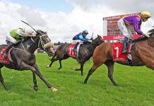 Sale double for Farrugia