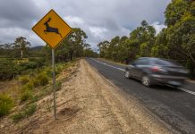 Deer harvest report released