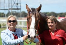 Local trio in winner’s circle