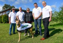 Racing festival launched