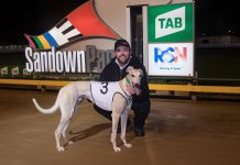 Playlist set for Sale Cup